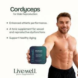 Bandelettes Focus aux Champignons 4