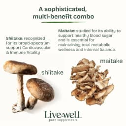 Bandelettes Focus aux Champignons 6