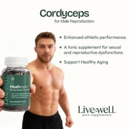 Complexe Champignons 10-Synergie 2